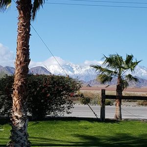 Meet your Posher, Rindy